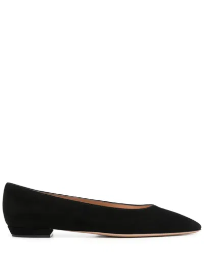 Gianvito Rossi Suede Pointed-toe Ballerina Flats In Black