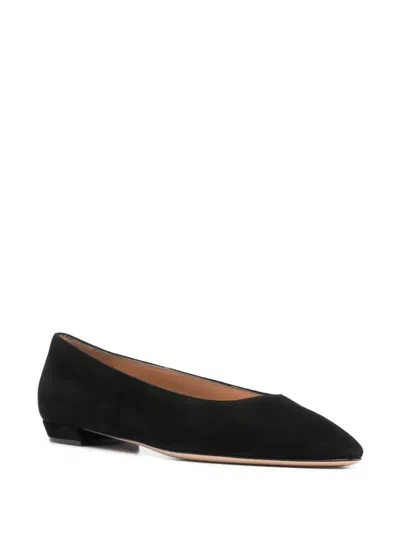 Gianvito Rossi Suede Pointed-toe Ballerina Flats In Black