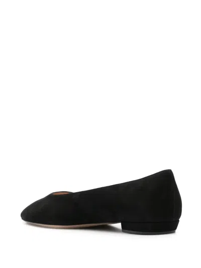 Gianvito Rossi Suede Pointed-toe Ballerina Flats In Black