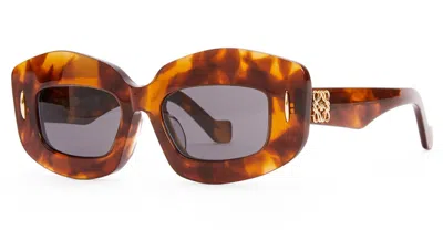 Loewe Lw40114i - Flamed Havana Sunglasses In Black