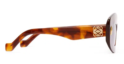 Loewe Lw40114i - Flamed Havana Sunglasses In Black