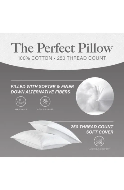 Modern Threads 2-pack Down Alternative Pillows In White