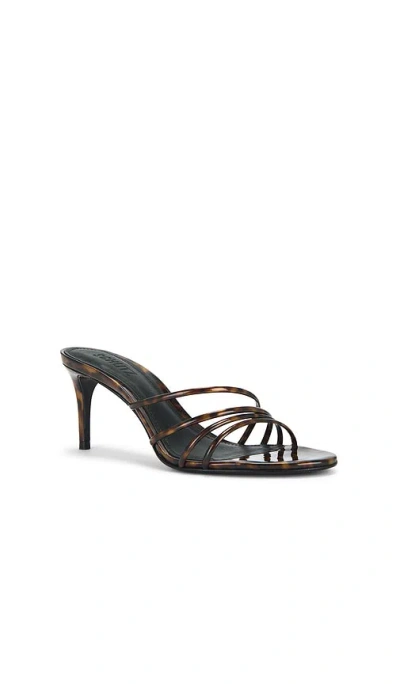 Schutz Inez Strappy Tortoise Slide Sandals In Chocolate