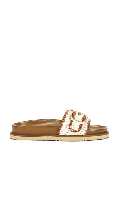Steve Madden Memphis Slide Sandal In Cognac