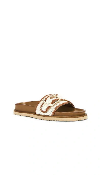 Steve Madden Memphis Slide Sandal In Cognac