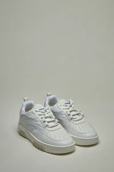 Streim Primo Basket In There Is No Color Specification For This Product.