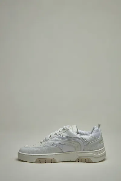 Streim Primo Basket In There Is No Color Specification For This Product.