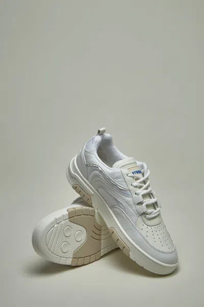 Streim Primo Basket In There Is No Color Specification For This Product.