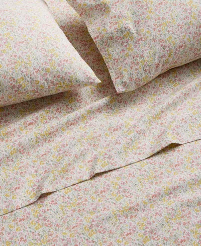 Charter Club Ditsy Floral Printed 550-thread Count 4-pc. Sheet Set, Queen, Exclusively At Macy's In Pink