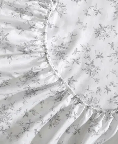 Calvin Klein Printed 300-thread Count Cotton Sateen 4-pc. Sheet Set, Queen In Abstract Floral