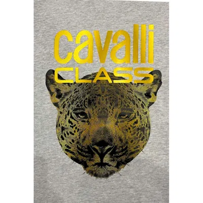 Cavalli Class Gray Polyester Sweater In Gray