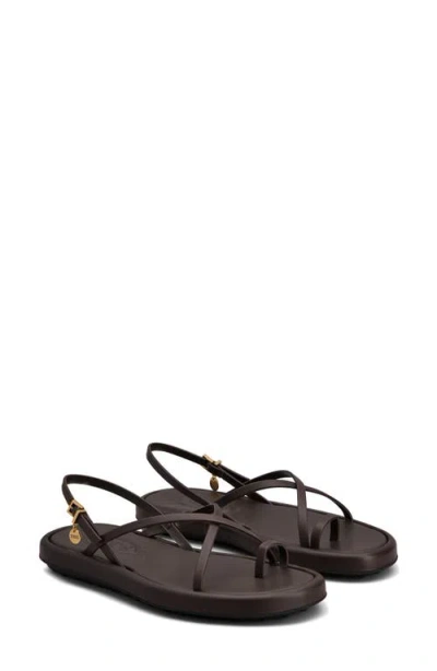 Tod's Multi-strap Leather Toe-loop Sandals In Palissandro