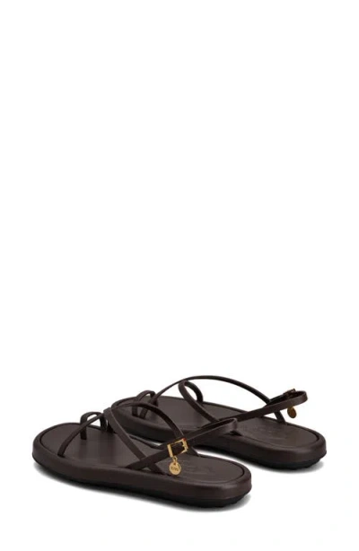 Tod's Multi-strap Leather Toe-loop Sandals In Palissandro