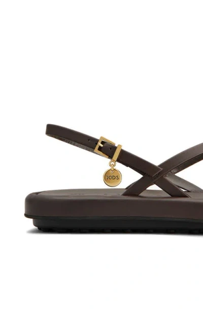 Tod's Multi-strap Leather Toe-loop Sandals In Palissandro
