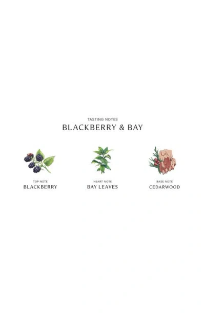 Jo Malone London ™ Blackberry & Bay Reed Diffuser In No Color