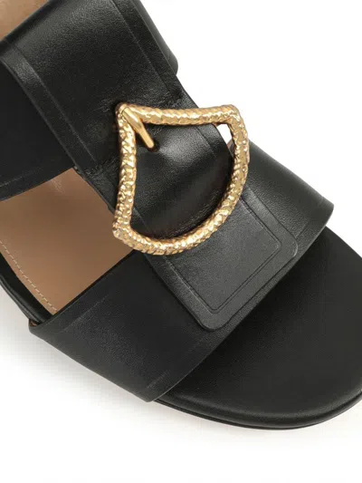 Sergio Rossi Block Heel Mules With Round Open Toe In Black