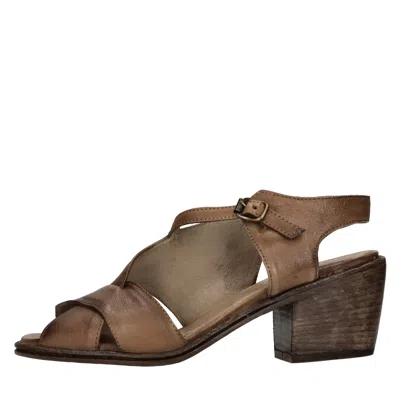 Hundred 100 Sandals Brown In Marrone Marroni