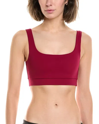 Strut This The Jolie Bra In Burgundy