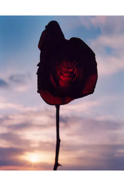 Vyrao Georgette Eau De Parfum In N,a