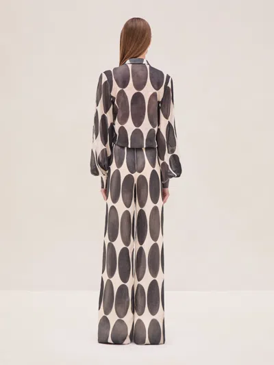 Alexis Sarif Pant In Eclipse