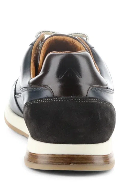 Ambitious 11240 Perforated Sneaker In Black