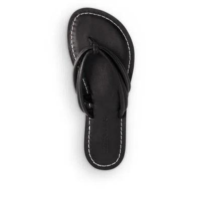 Bernardo Footwear Miami Thong Sandal In Black