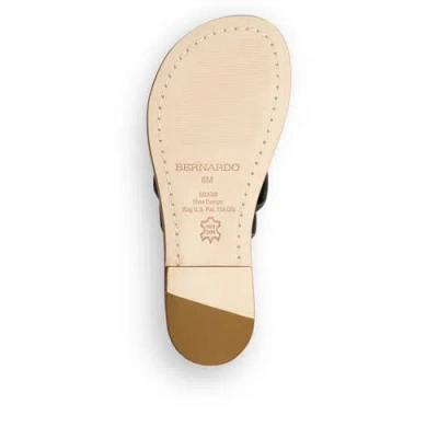 Bernardo Footwear Miami Thong Sandal In Black