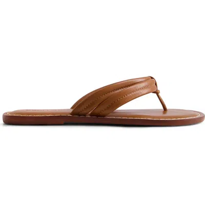 Bernardo Footwear Miami Thong Sandal In Luggage