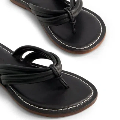 Bernardo Footwear Miami Thong Sandal In Black