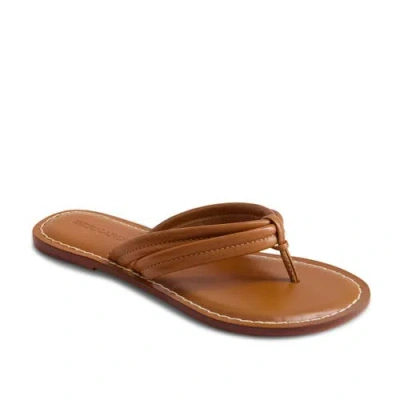 Bernardo Footwear Miami Thong Sandal In Luggage