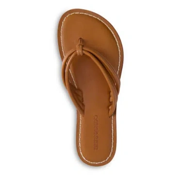 Bernardo Footwear Miami Thong Sandal In Luggage