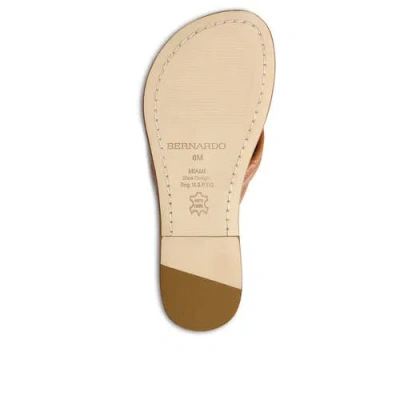 Bernardo Footwear Miami Thong Sandal In Luggage