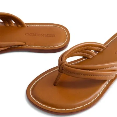 Bernardo Footwear Miami Thong Sandal In Luggage