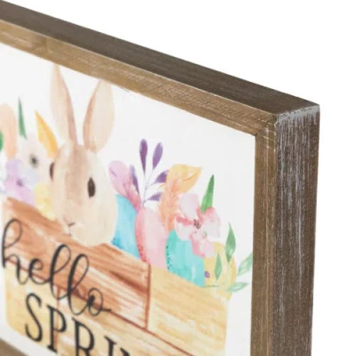 Northlight Hello Spring Easter Bunny Wall Sign In Multi