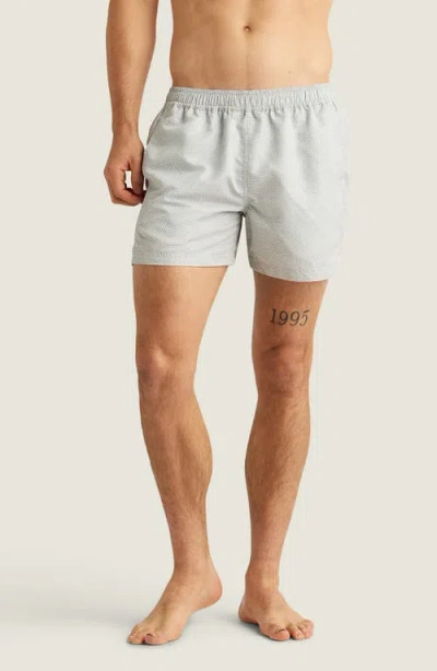 Auto-reply™ Sebastian Print 4-inch Nylon Swim Trunks In Gray