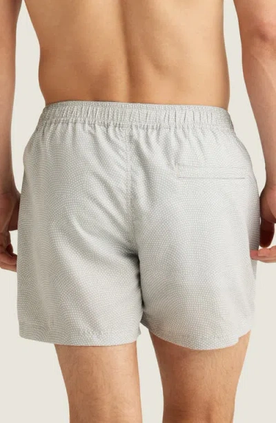 Auto-reply™ Sebastian Print 4-inch Nylon Swim Trunks In Gray