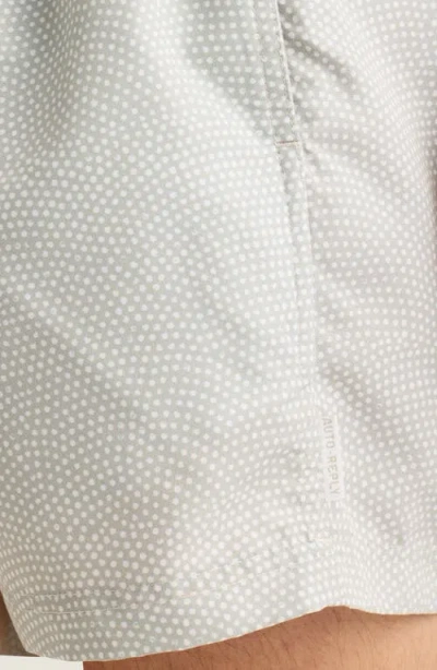 Auto-reply™ Sebastian Print 4-inch Nylon Swim Trunks In Gray