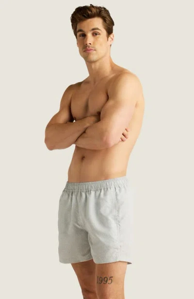 Auto-reply™ Sebastian Print 4-inch Nylon Swim Trunks In Gray