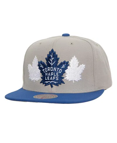 Mitchell & Ness Men's Gray Toronto Maple Leaf's Soul Triple Up Snapback Hat In Gray