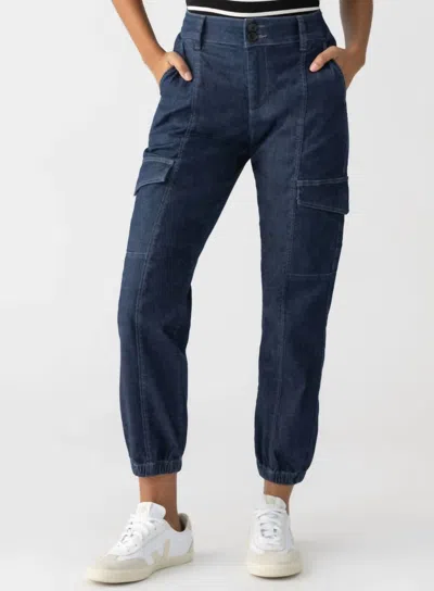 Sanctuary Denim Rebel Pants In Bellweather In Multi
