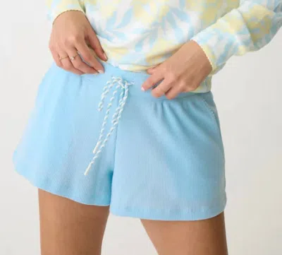 Pj Salvage Sunshine Fields Waffle Knit Pajama Shorts In Blue
