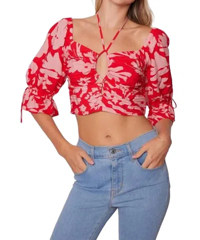 Lost + Wander Still The One Crop Top In Pink Floral In Multi