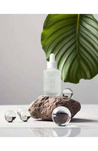 Superegg Tonal Scenery Reparative Serum In White