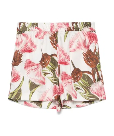 P.a.r.o.s.h Floral-print Shorts In White