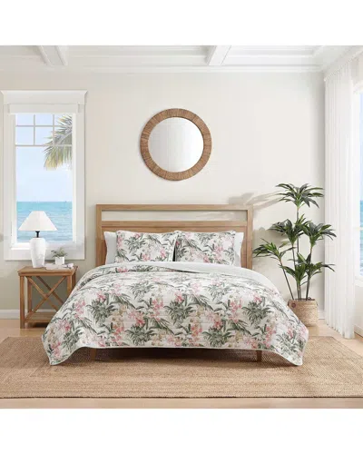 Tommy Bahama 136 Thread Count Island Orchid Cotton Reversible Quilt Set