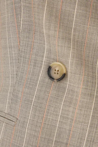 Pt Torino Embroidered Stretch Wool Blazer In Neutral