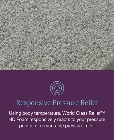 Beautyrest World Class Level Four 16.25" Plush Pillow Top Mattress In No Color