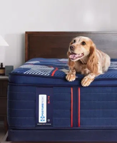 Sealy Posturepedic Elite Albany Ii 15 Soft Euro Pillow Top Mattress Collection In No Color