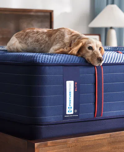 Sealy Posturepedic Elite Albany Ii 14" Firm Tight Top Mattress Set In No Color