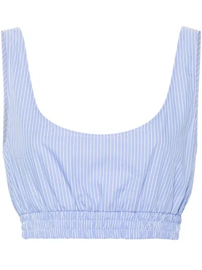 Modes Garments Striped Crop Top In Blue